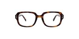 Clearly Glasses TWISP