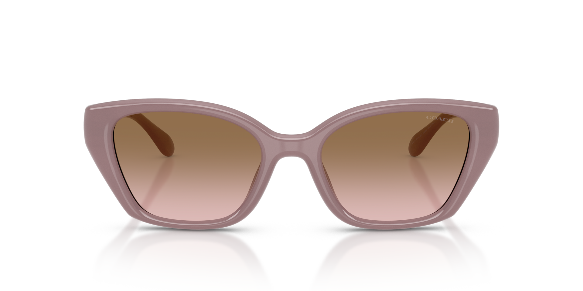 COACH Woman Sunglasses CBY91  -  Frame color: Milky Putty, Lens color: Brown Peach Gradient