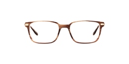 Clearly Glasses BIXBY