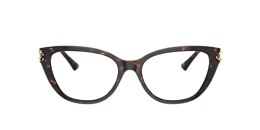 Jimmy Choo Glasses JC3011