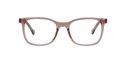 Clearly Glasses LION