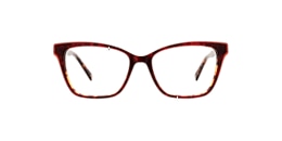 Clearly Glasses SIGNAL