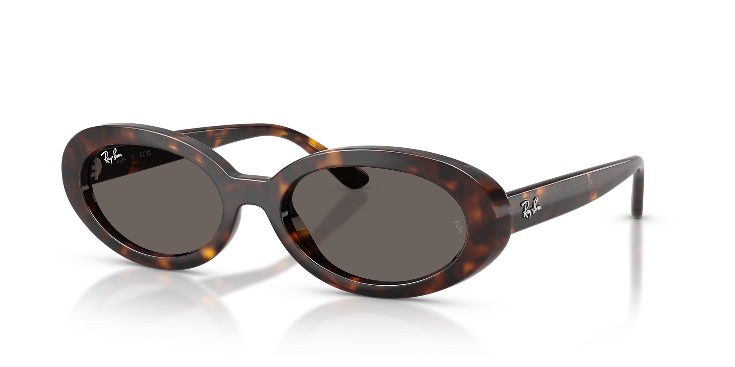 Ray-Ban Sunglasses RB2223