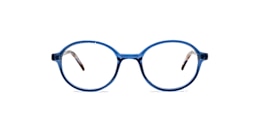 Clearly Glasses RAYMORE