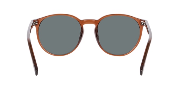 Clearly Sunglasses TELEMAIN