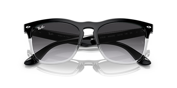 Ray-Ban Sunglasses RB4487 STEVE