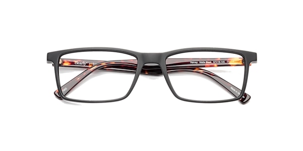 Clearly Glasses HARVEY