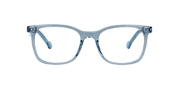 Clearly Glasses LION
