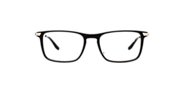 Clearly Glasses DARCY