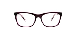 Clearly Glasses PICKLE LAKE