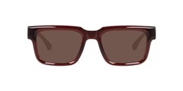 Clearly Sunglasses PALM TREE