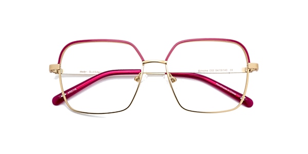 Clearly Glasses ERINOME