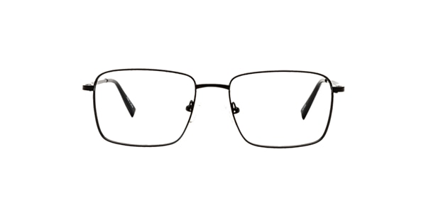 Clearly Glasses STONEWALL