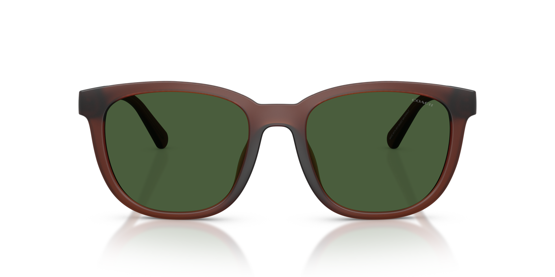 COACH Man Sunglasses CCA00 - Frame color: Matte Transparent Brown, Lens color: Green Solid