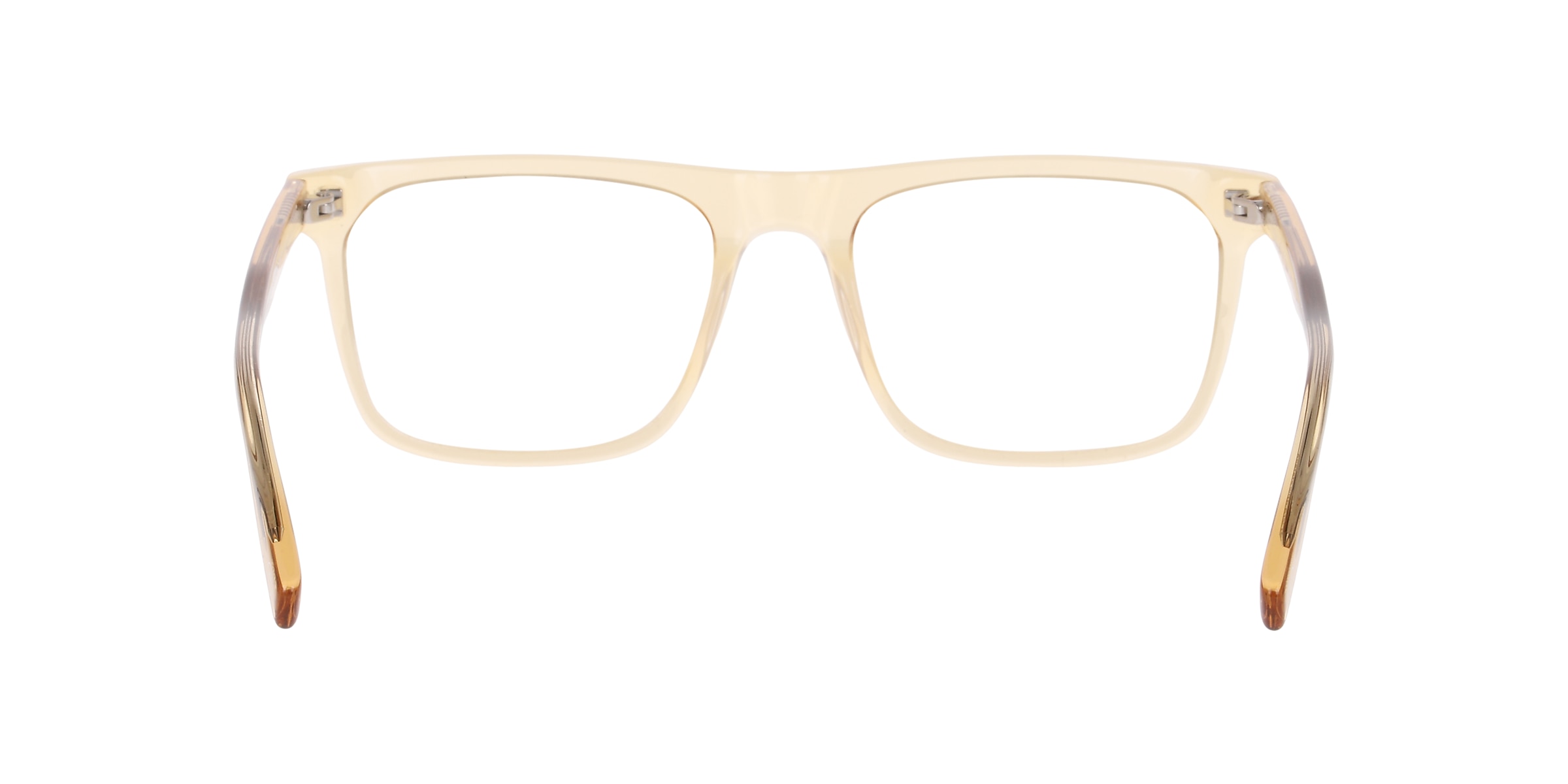 Clearly Glasses DARCY