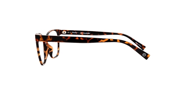 Clearly Glasses GANNET