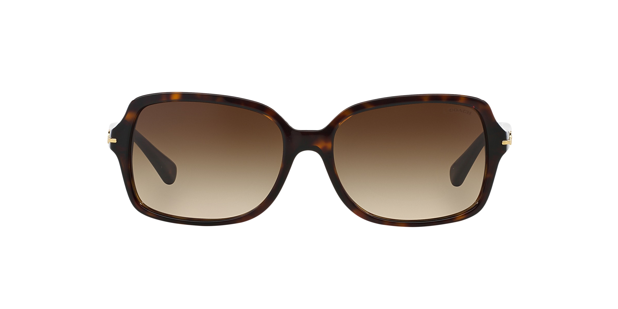 Coach Sunglasses HC8116 L087 BLAIR