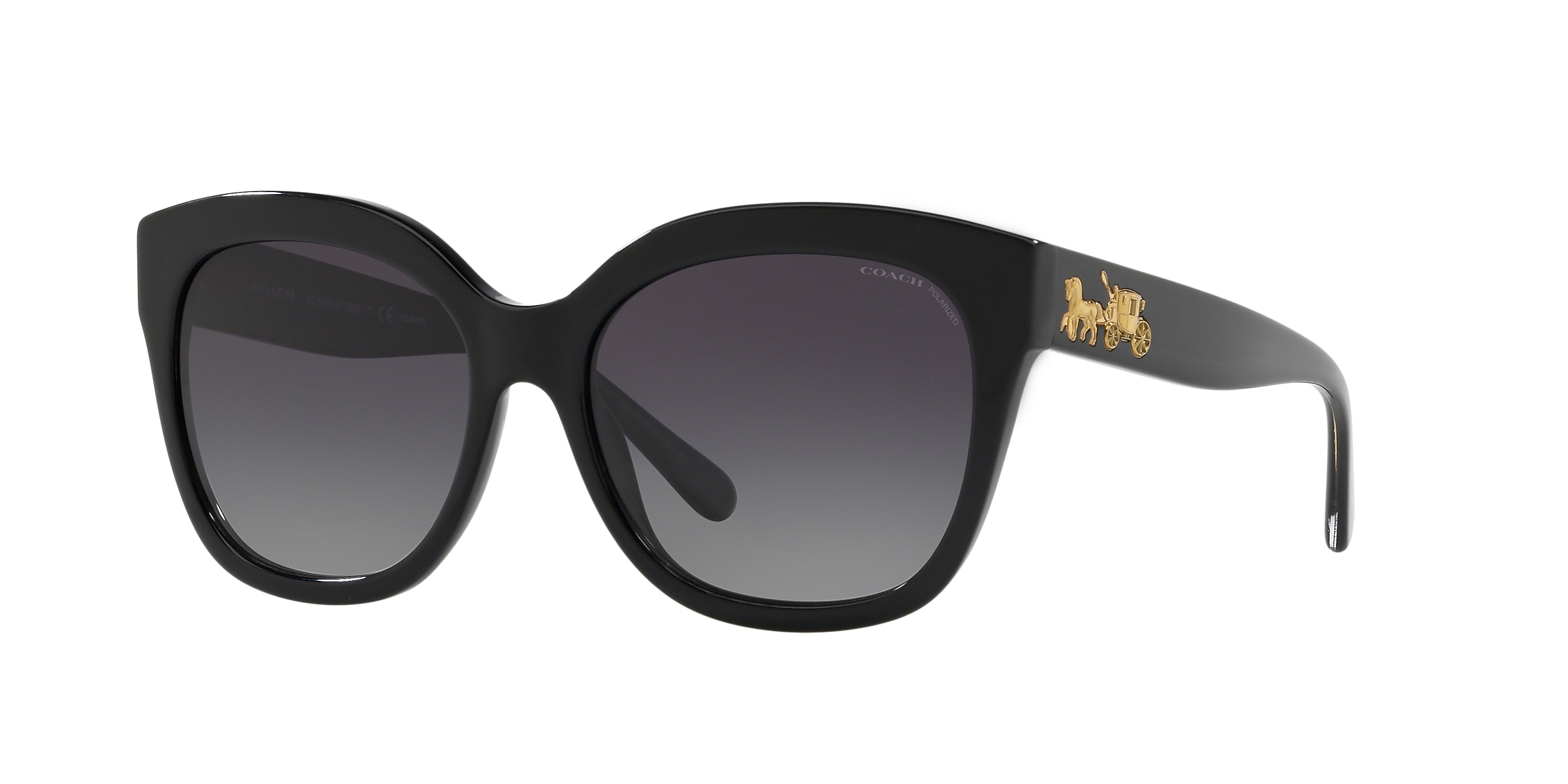 Coach Sunglasses HC8264 L1083