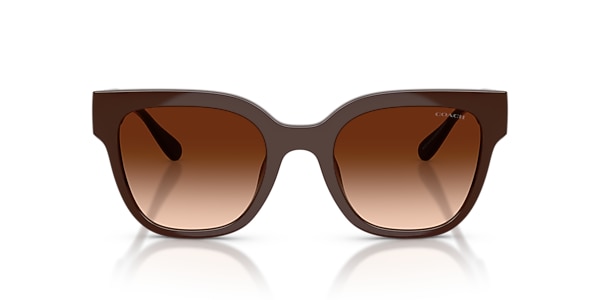 Coach Sunglasses HC8460U CFT88