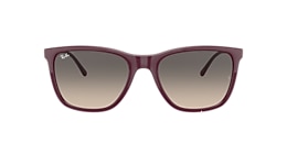Ray-Ban Sunglasses RB4344