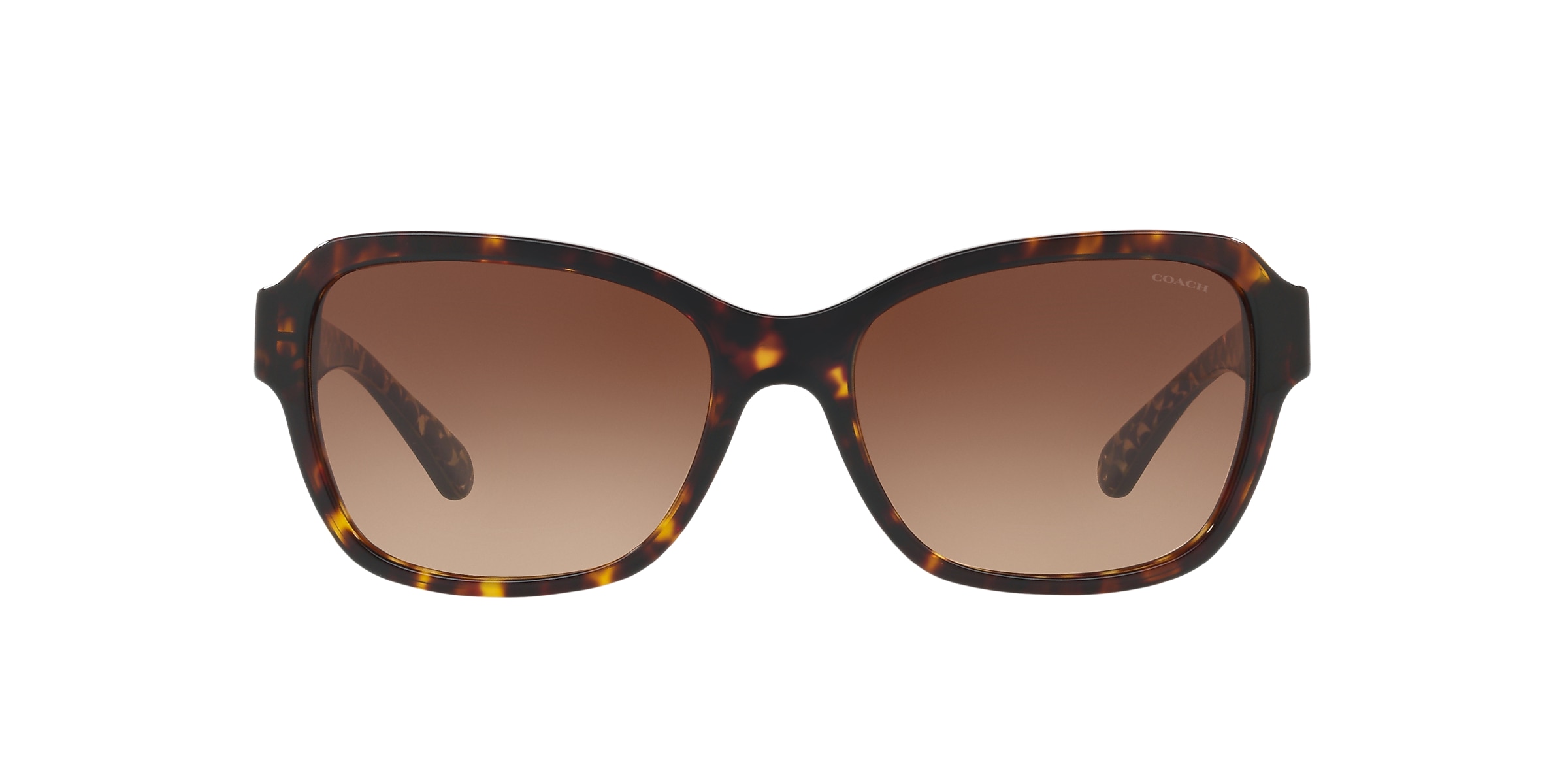 Coach Sunglasses HC8232 L1010