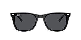 Ray-Ban Sunglasses RB4420