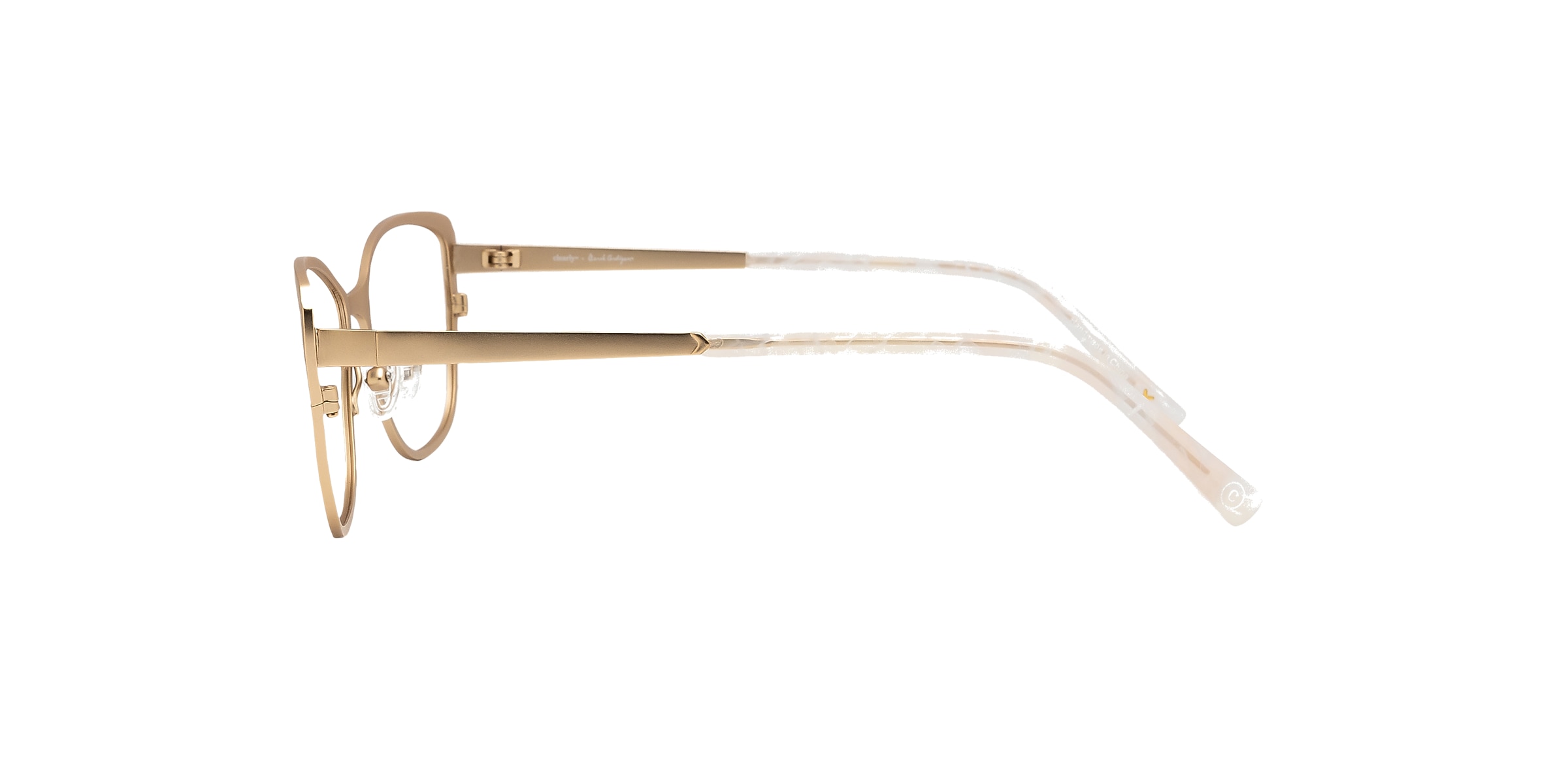 Clearly Glasses EUANTHE