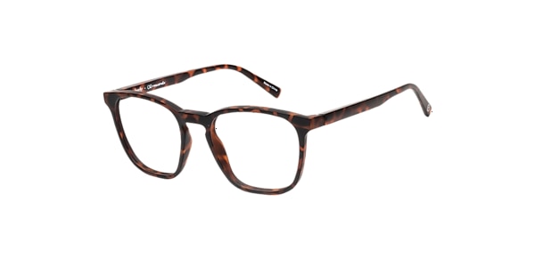 Clearly Glasses PITTA