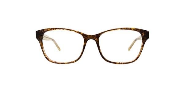 Clearly Glasses PRAHRAN