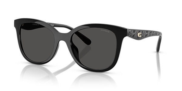 Coach Sunglasses HC8419U CAD25