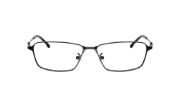 Diesel Glasses DL5008D