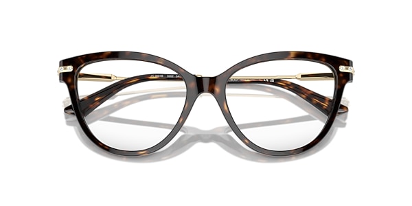 Jimmy Choo Glasses JC3001B