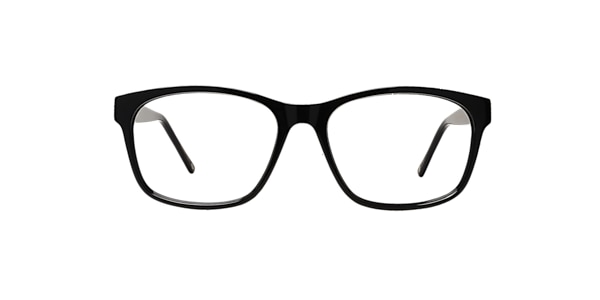 Clearly Glasses TURTLE BAY