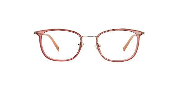 Clearly Glasses SPRUCE