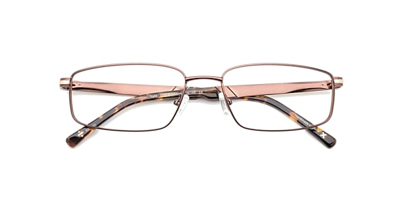 Clearly Glasses LYRA