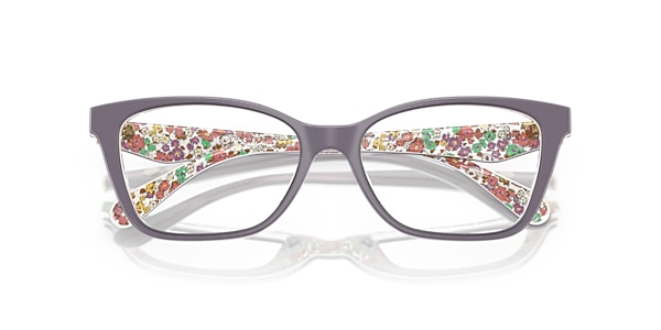 Coach Glasses HC6248U