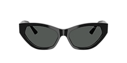 Jimmy Choo Sunglasses JC5022B