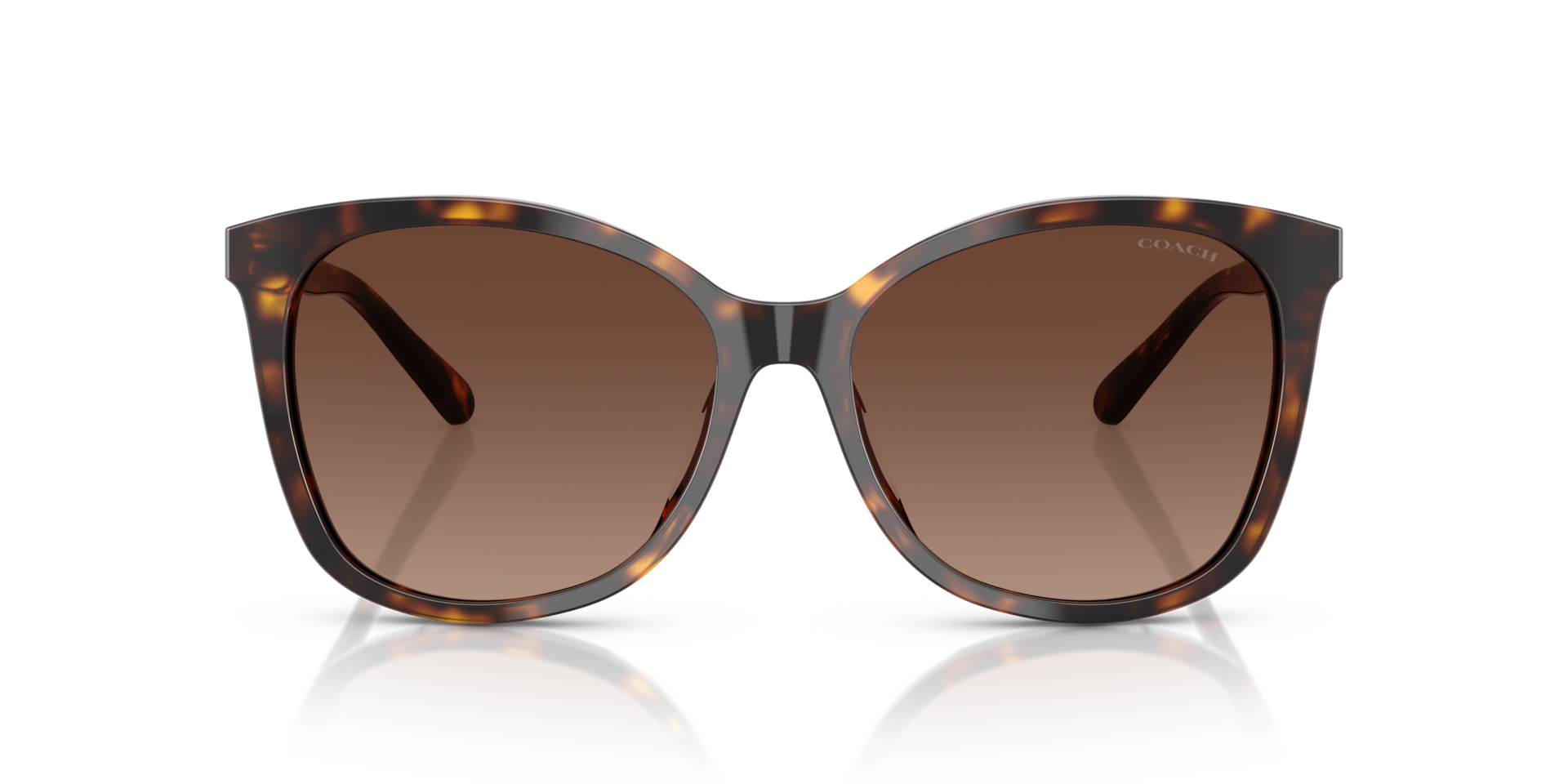 COACH Woman Sunglasses L1101  -  Frame color: Dark Tortoise, Lens color: Dark Brown Gradient Polarized