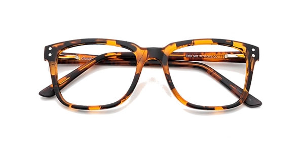 Clearly Glasses SALIX