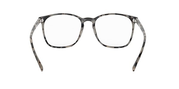 RB5387 OPTICS