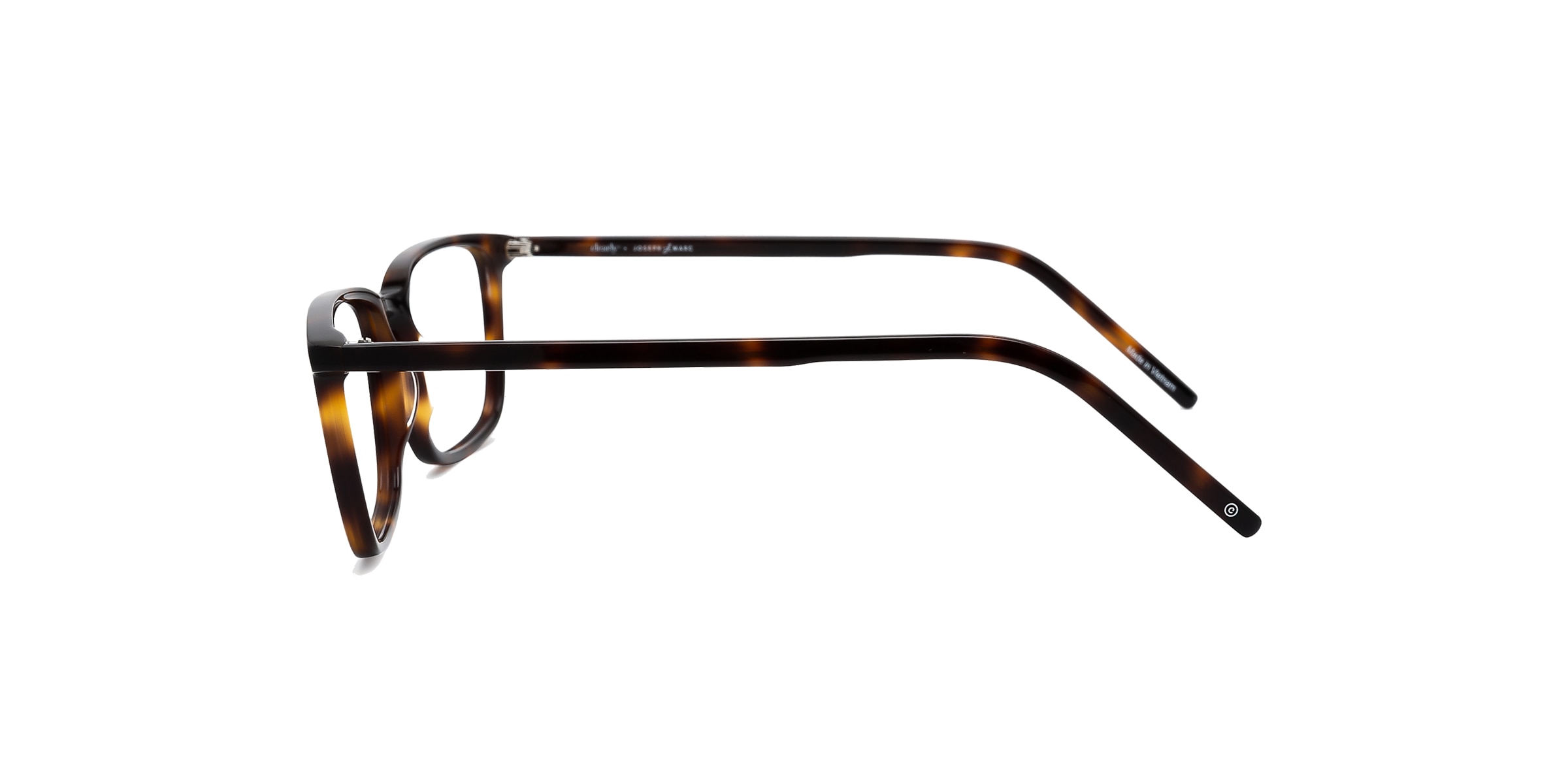 Clearly Glasses BIRCH