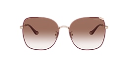 Coach Sunglasses HC7133 C7997