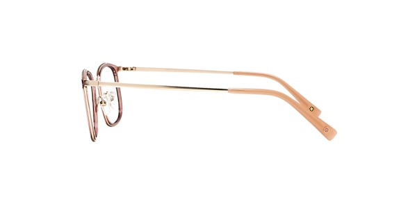 Clearly Glasses SPRUCE
