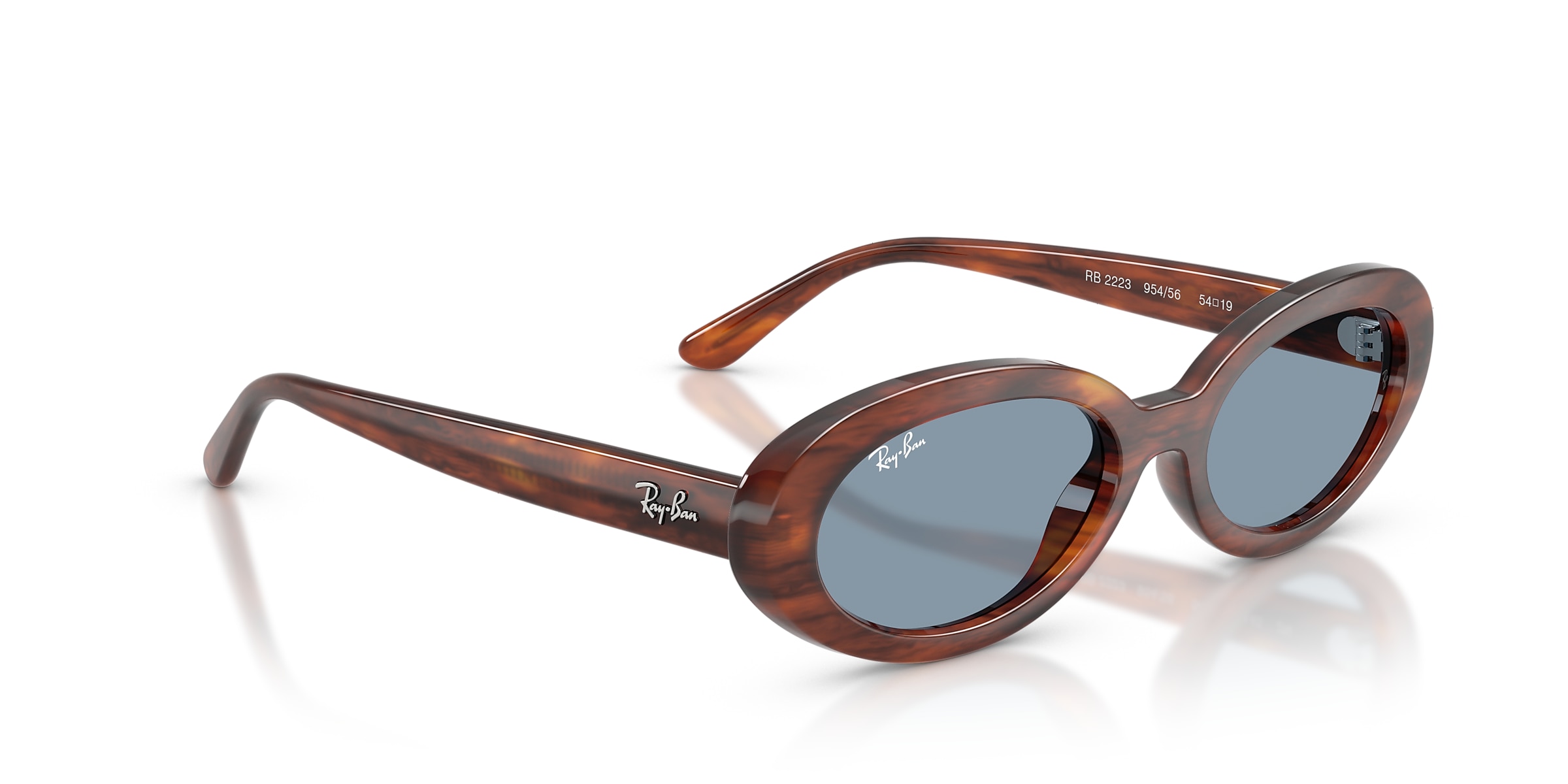 Ray-Ban Sunglasses RB2223