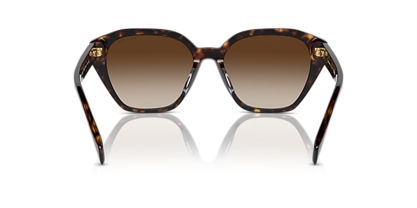 Ralph Sunglasses RA5315U