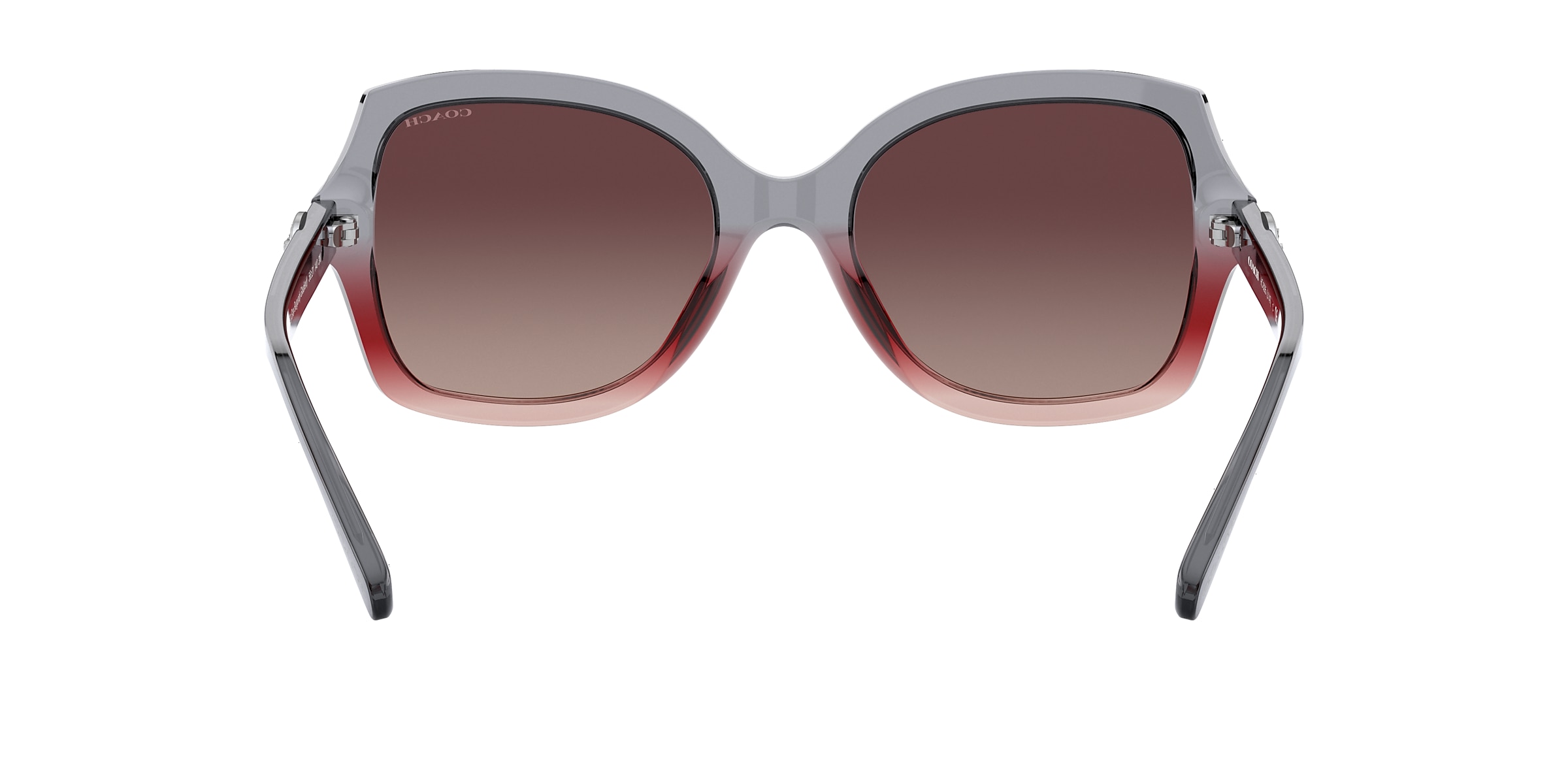 Coach Sunglasses HC8295 L1147
