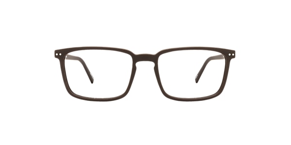 Clearly Glasses CURLEW