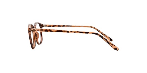 Clearly Glasses KENSINGTON