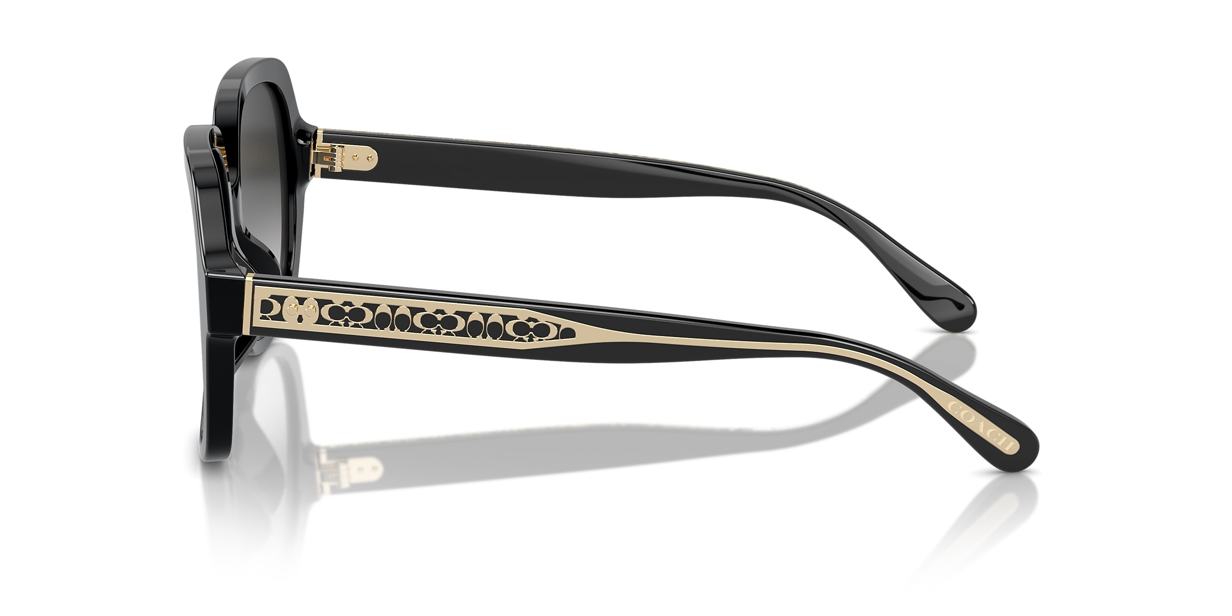 Coach Sunglasses HC8395U CR614