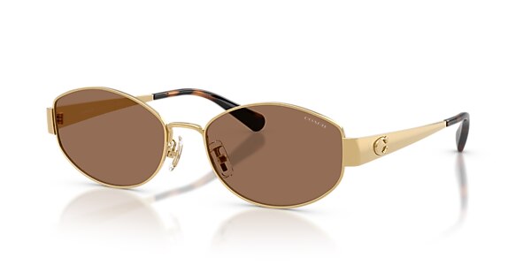 Coach Sunglasses HC7192D CDP44